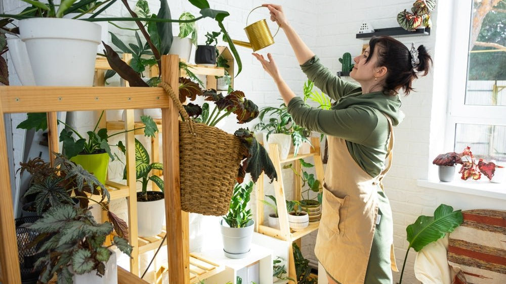 10 Rare Plants to Start Your Collection - FGMN Nursery