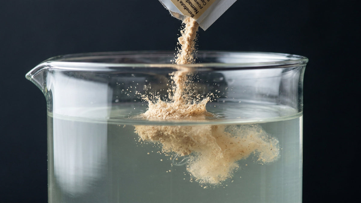 Pale tan nematode carrier powder poured from an opened sachet into a glass beaker of clear water, breaking into a cloud as it hits the surface and sinking in loose drifts. The nematodes themselves are not visible.