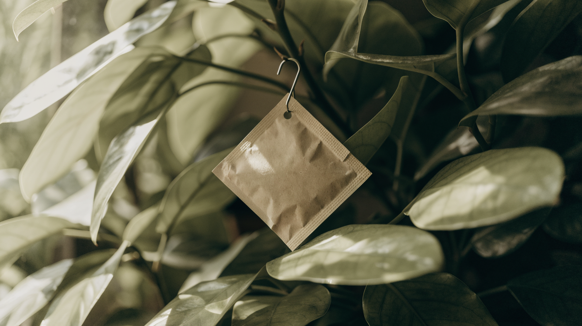 A paper predatory mite sachet hanging from a stem deep inside a houseplant's leaf canopy, shaded by the surrounding foliage