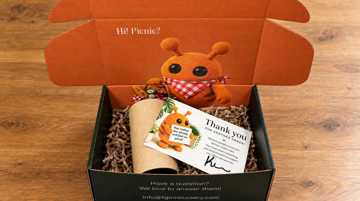 FGMN orange-and-dark-green box with Benny artwork, kraft tube, crinkle paper and thank-you card; AI-retouched from actual packaging photos.