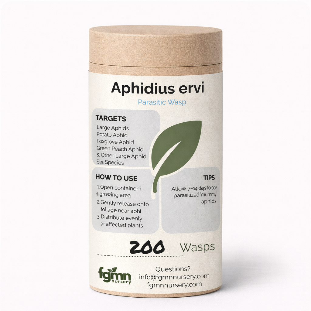 A cylindrical container labeled Aphidius Ervi, featuring usage directions, aphid target pests, tips, contact info, and a green leaf illustration. Contains 200 wasps for effective greenhouse aphid control.