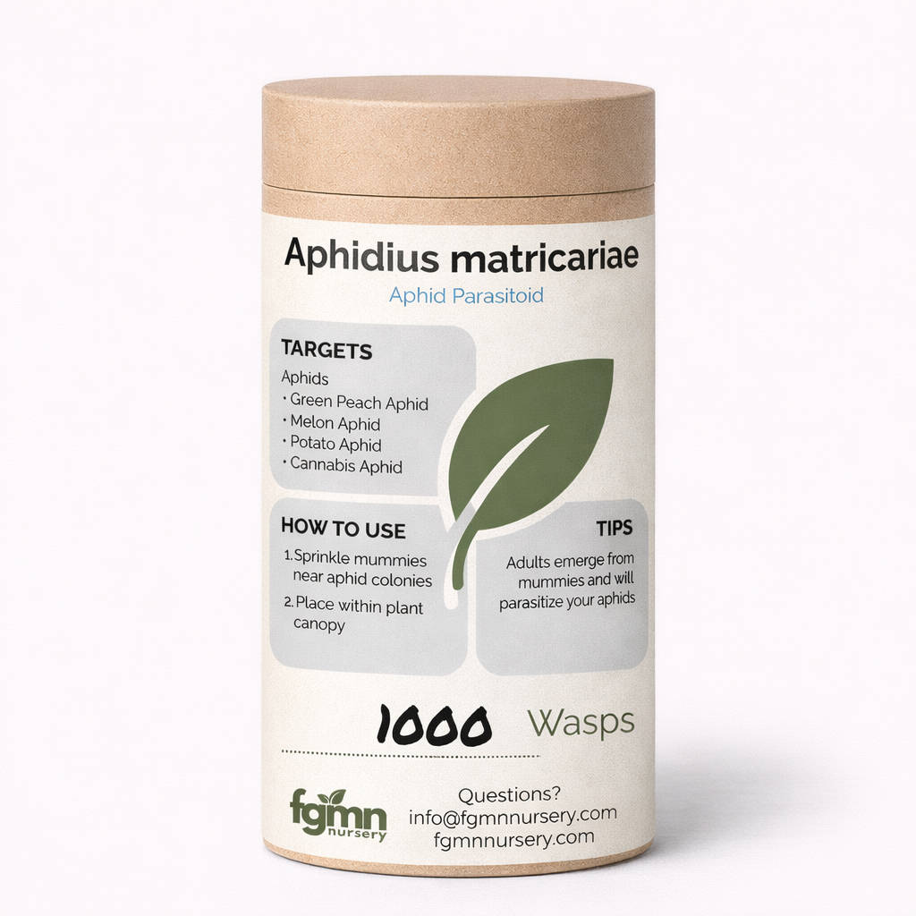 A cylindrical container labeled "Aphidius matricariae" for aphid control includes 1000 parasitic wasps, usage instructions, target pests, tips, a green leaf graphic, and contact info for fgmnursery.com.