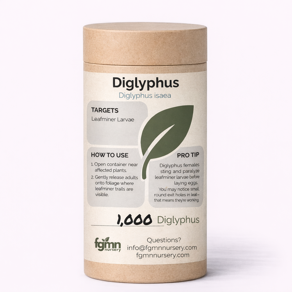 A cylindrical cardboard container labeled "Diglyphus isaea" for leafminer pest control features usage instructions, effective tips, a green leaf graphic, and nursery contact info on a light background.
