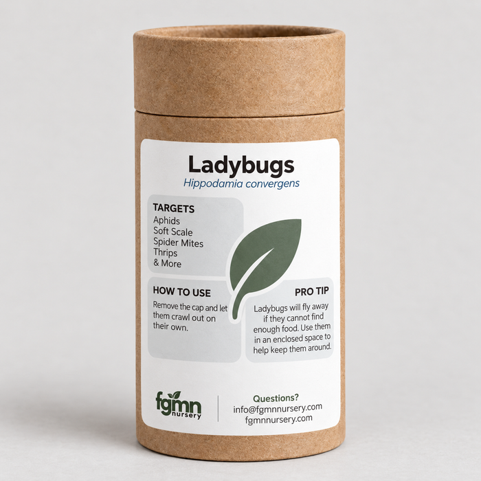 Kraft tube of FGMN ladybugs, Hippodamia convergens, labelled for aphids, soft scale, spider mites and thrips, with release directions on the front.