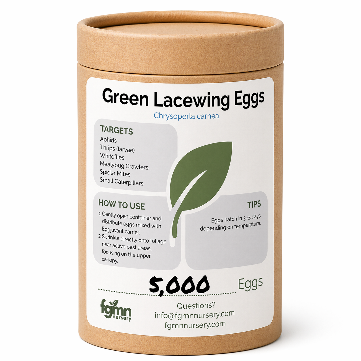 Container of 5000 Green Lacewing Eggs for Aphid Control