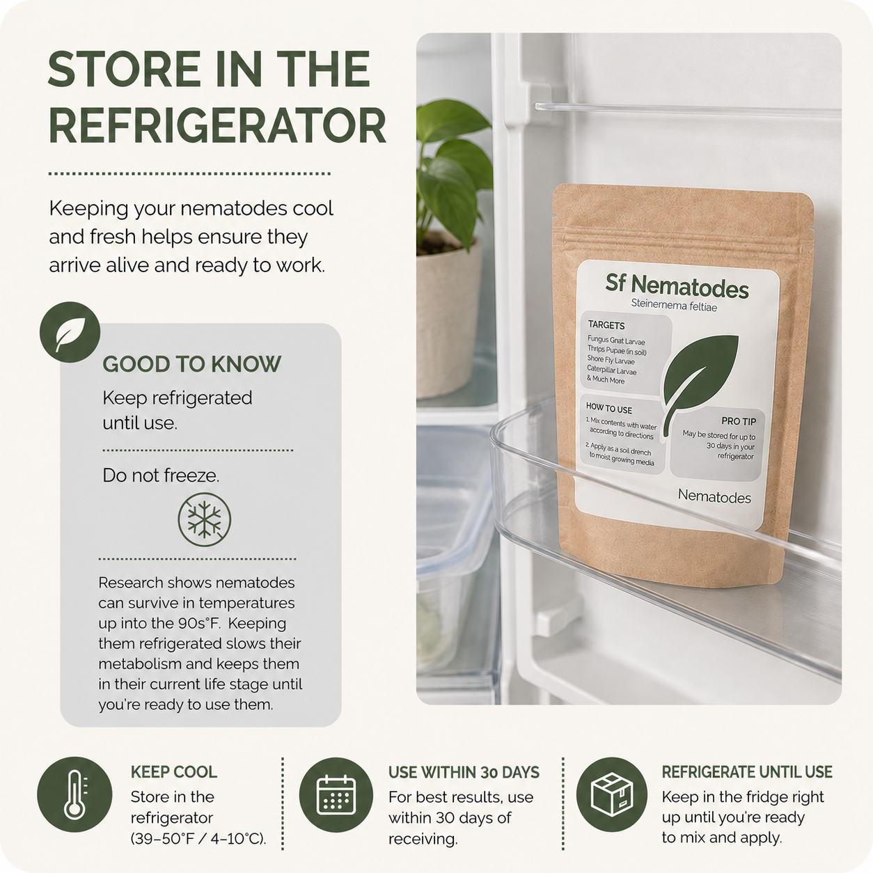 Instructions on how to keep SF Nematodes refrigerated until they're needed