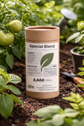Special Blend Predatory Mite Blend bottle places in the tomato garden that it is protecting.