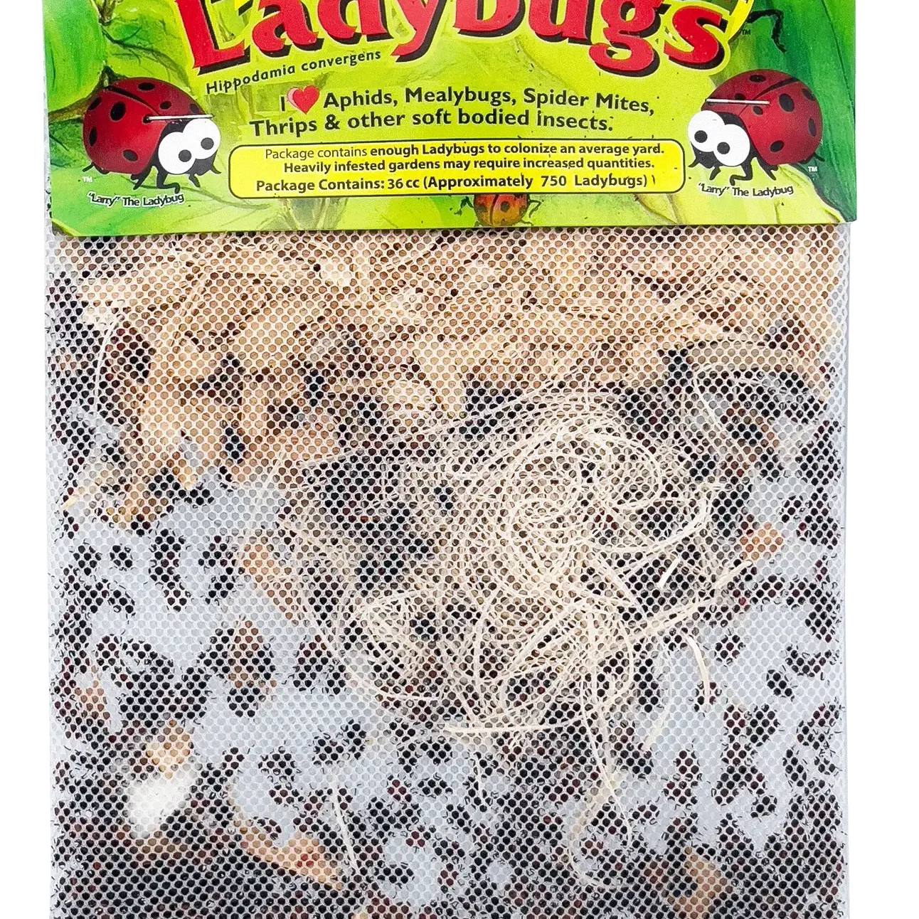 Pre-Fed Ladybugs packaging for natural pest control in gardens and greenhouses, managing aphids, thrips, and mites.