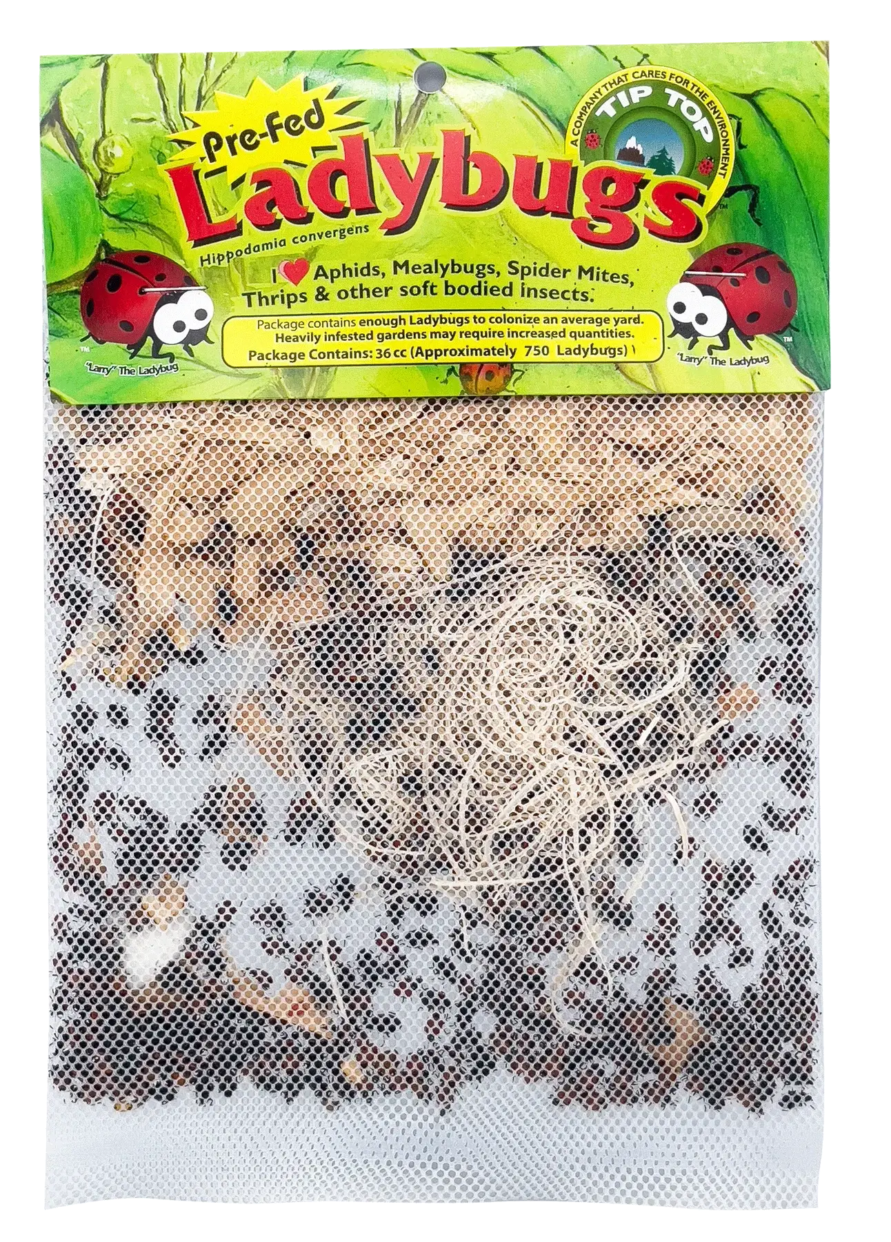 Pre-Fed Ladybugs packaging for natural pest control in gardens and greenhouses, managing aphids, thrips, and mites.