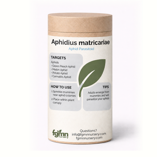 Kraft tube of FGMN Aphidius matricariae parasitoid wasps, labelled for green peach aphids.