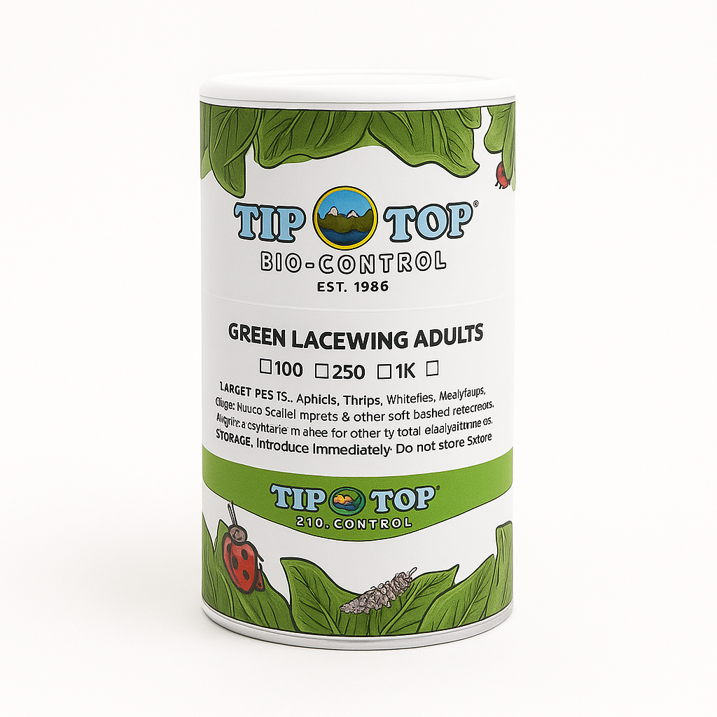 Tip Top Bio-Control bottle for green lacewing adults on a white background