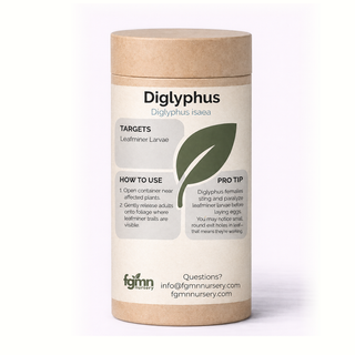 Kraft tube of FGMN Diglyphus isaea parasitoid wasps, labelled for leafminers.