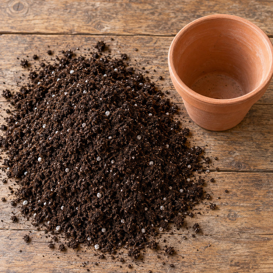 A heap of fresh unused potting mix on a wooden bench beside an empty terracotta pot.