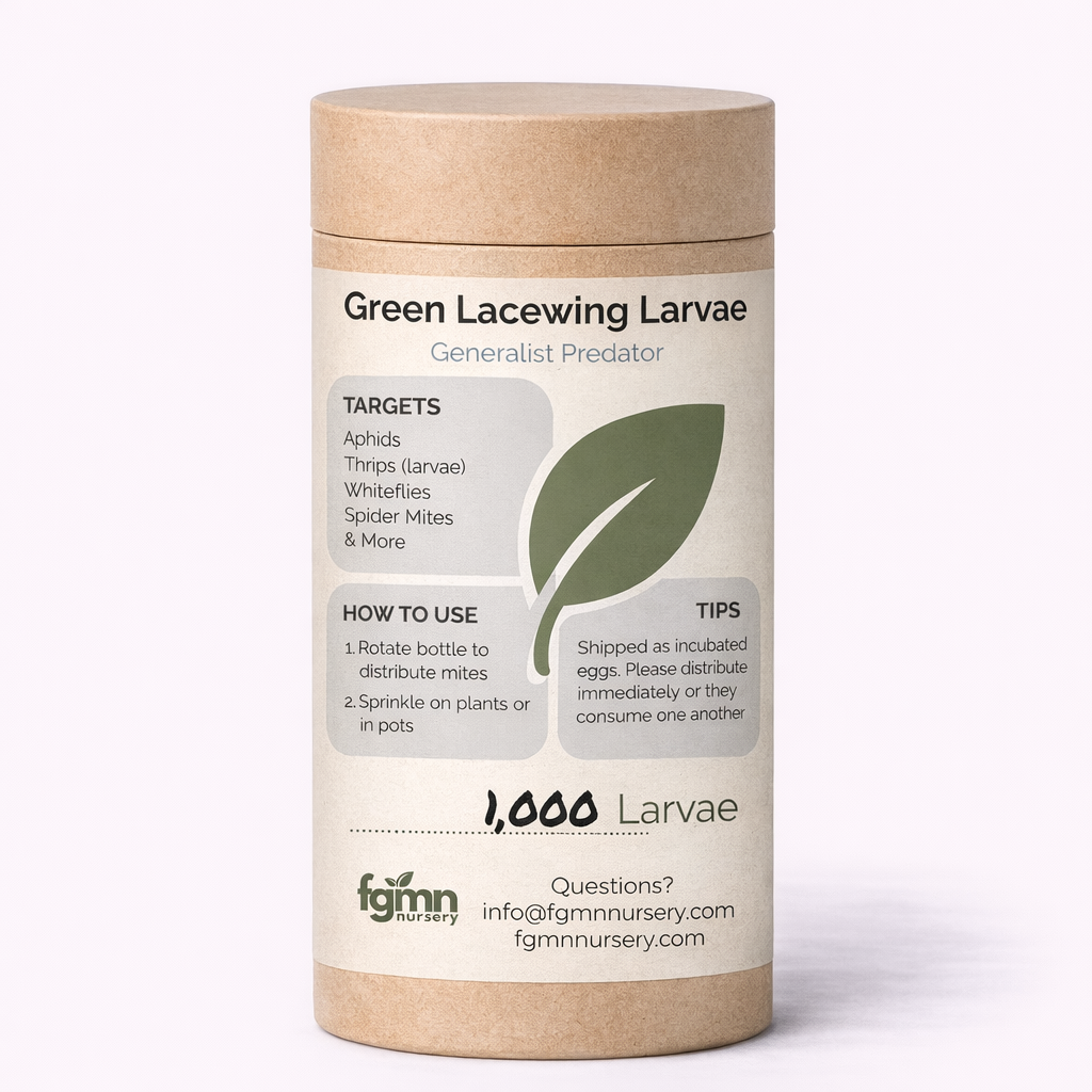 A cardboard cylinder labeled Green Lacewing Larvae contains 1,000 Chrysoperla carnea larvae for aphid control and pest management, with instructions, tips, and contact info printed on the label.