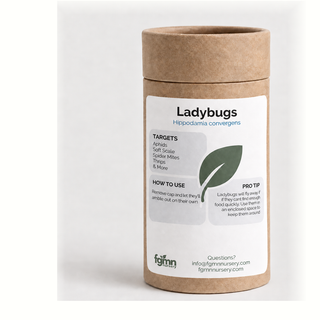 Kraft tube of FGMN ladybugs, Hippodamia convergens, labelled for aphids, soft scale, spider mites and thrips.