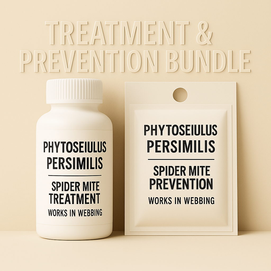 Beige background showing a white bottle labeled “Phytoseiulus persimilis – Spider Mite Treatment – Works in Webbing” and a matching sachet labeled “Phytoseiulus persimilis – Spider Mite Prevention – Works in Webbing,” representing a bundled system for treating and preventing spider mites in webbed areas.