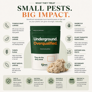 What Sf nematodes treat: fungus gnat larvae, sciarid larvae, thrips pupae, root weevil larvae, shore fly larvae, plant-parasitic nematodes and other exposed soil pests.