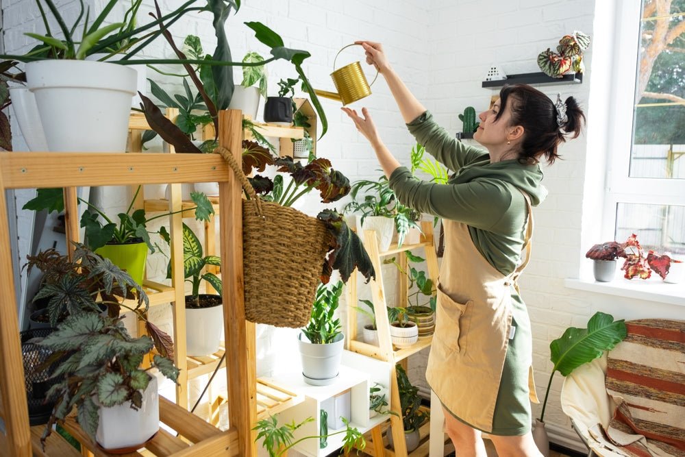 10 Rare Plants to Start Your Collection - FGMN Nursery