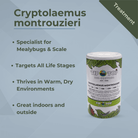 Cryptolaemus montrouzieri product packaging for mealybug and scale treatment, showing benefits and usage details.