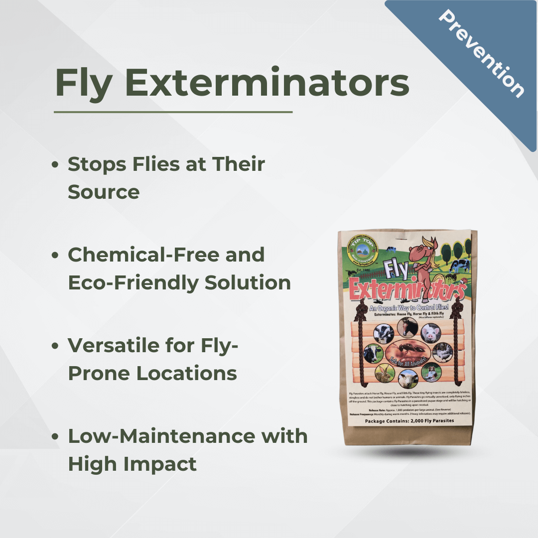 Fly Exterminators packaging with product features: stops flies, chemical-free, eco-friendly, versatile, low-maintenance.