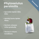 Phytoseiulus persimilis sachet for spider mite control with listed benefits. Specialist spider mite killer.