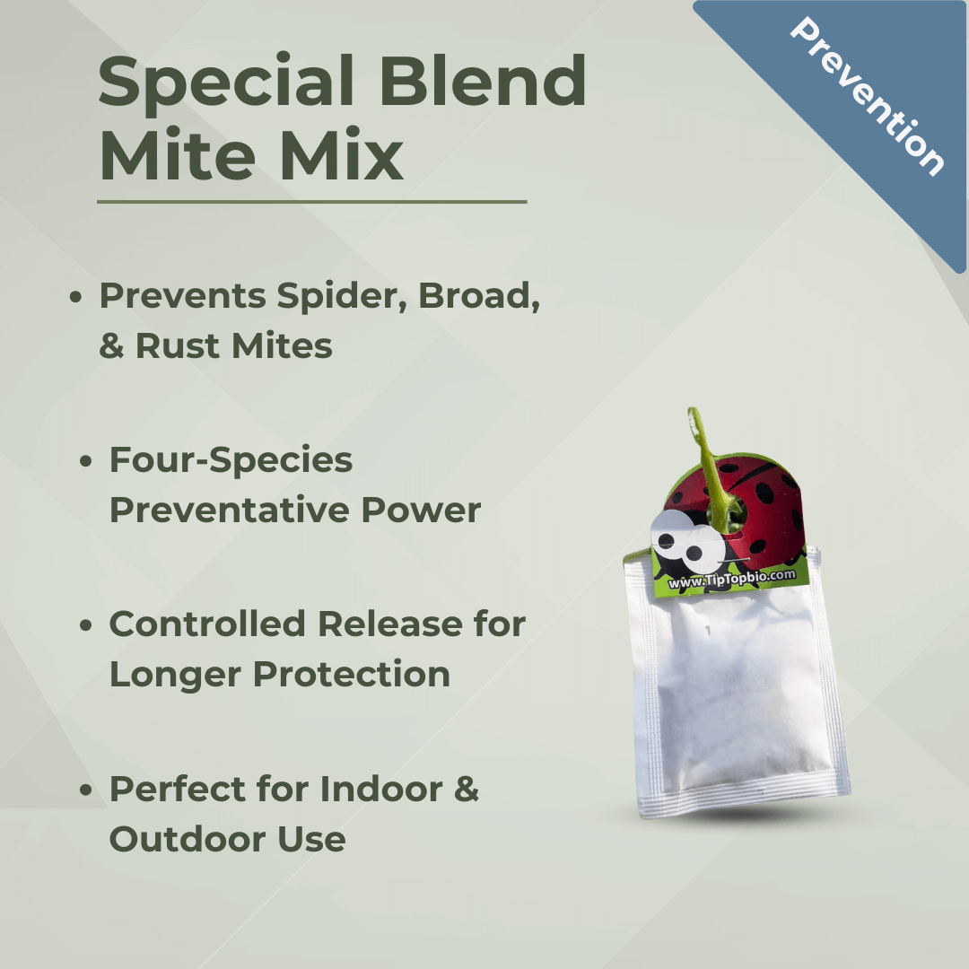 Special Blend Mite Mix sachet with prevention benefits against spider, broad, and rust mites, indoor and outdoor use.