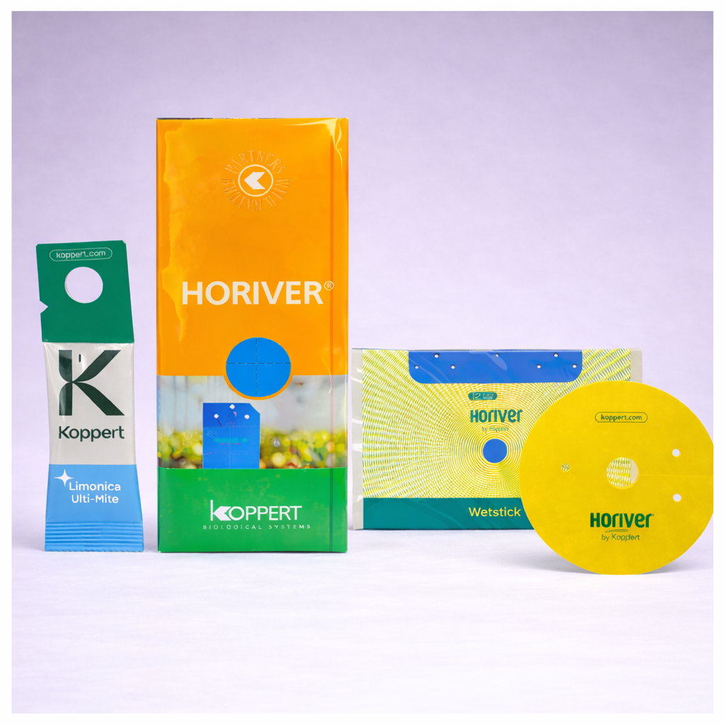 Four colorful Horiver Professional Sticky Traps stand upright against a pale purple background, highlighting Koppert’s effective, pesticide-free tools for Integrated Pest Management.
