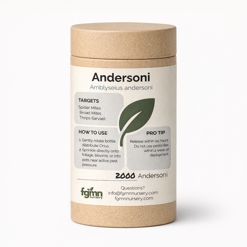 Amblyseius andersoni — cool climate red spider mite control down to 43°F