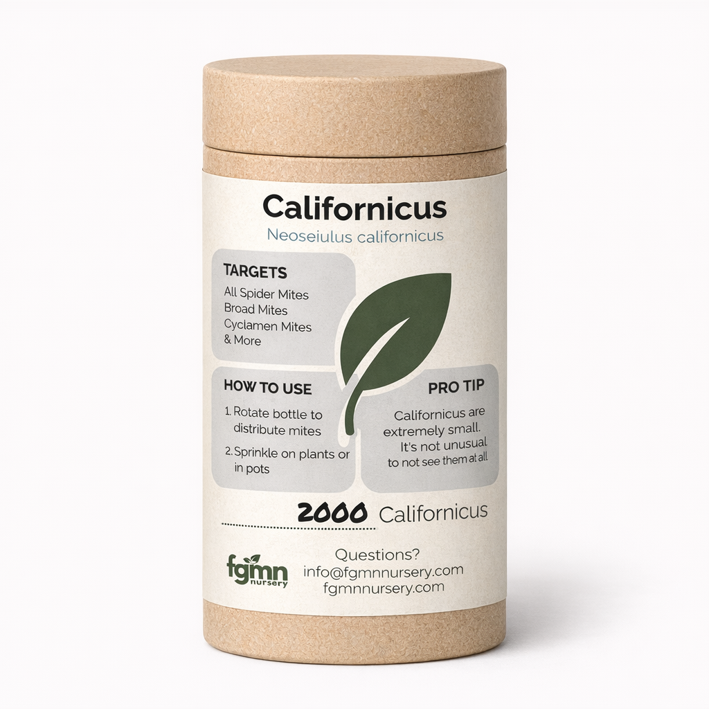 Container of Californicus pest control with label on a white background