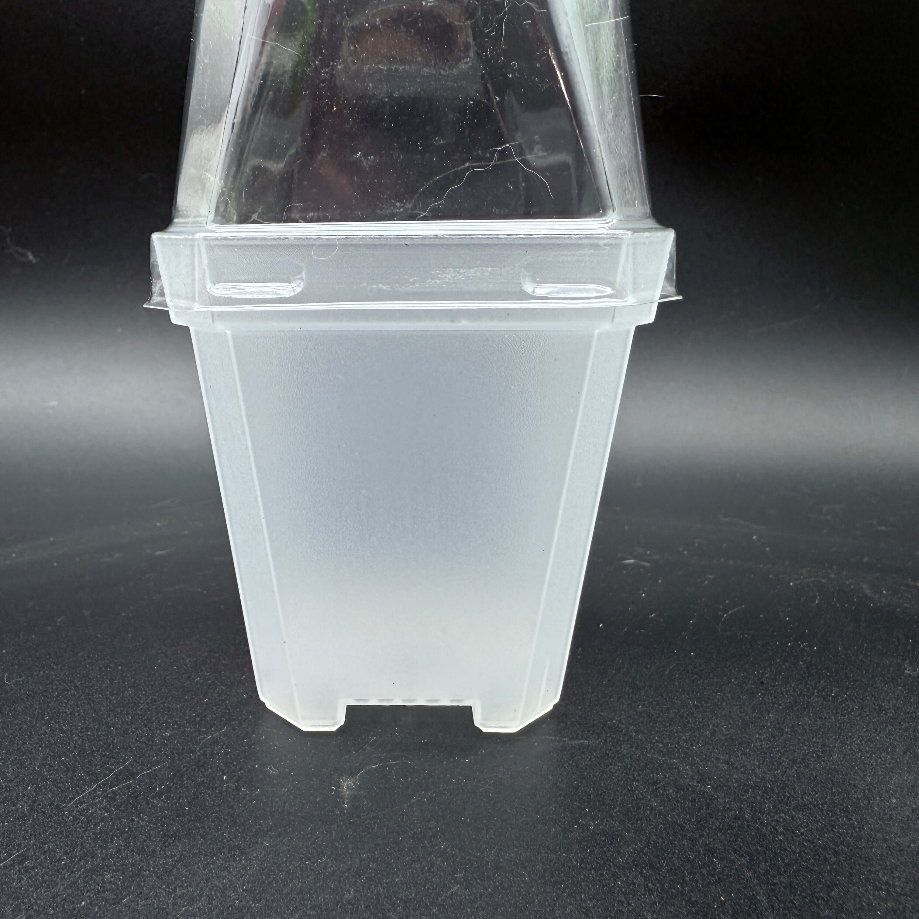 Clear nursery pot with humidity dome for propagating seedlings, ideal for tissue culture, with optimal drainage for plant health.