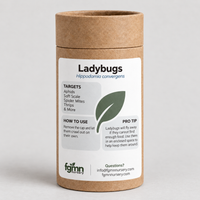 Ladybugs