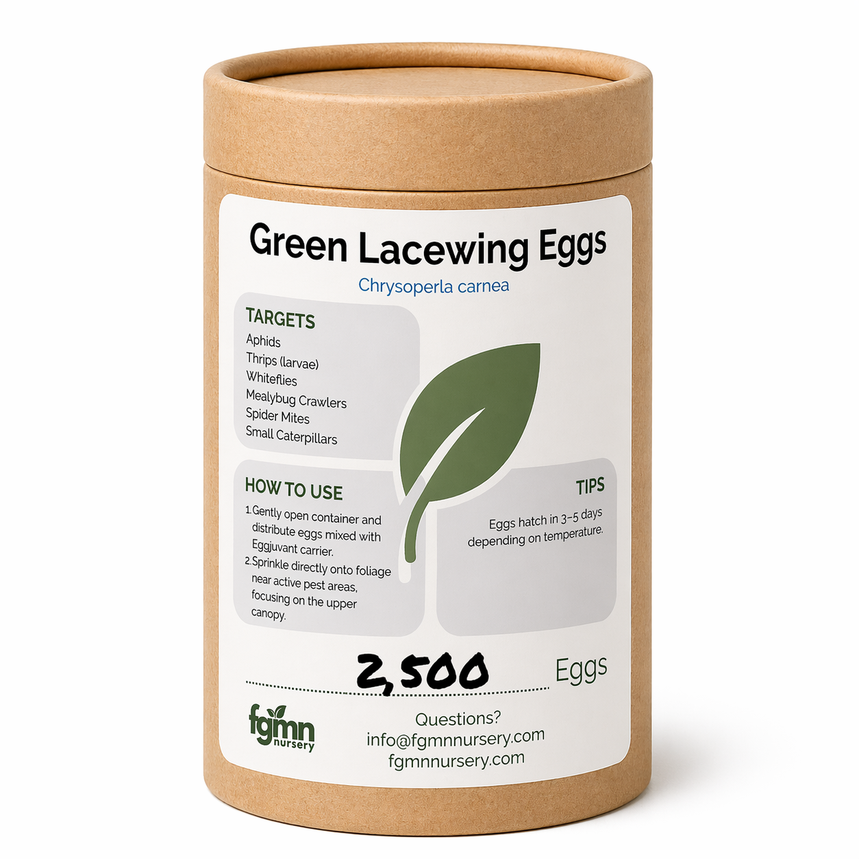 Container of 2,500 Green Lacewing Eggs for Aphid Control 