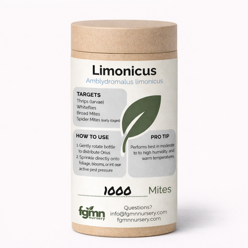 Amblydromalus limonicus — hot climate thrips treatment