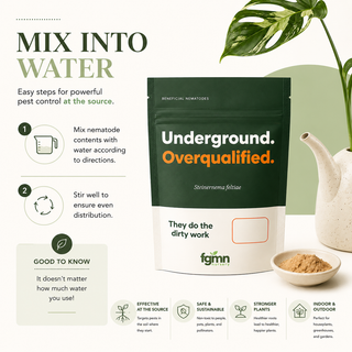 How to apply Sf nematodes: mix the pouch contents into water according to the directions, then stir well for even distribution. It does not matter how much water you use.