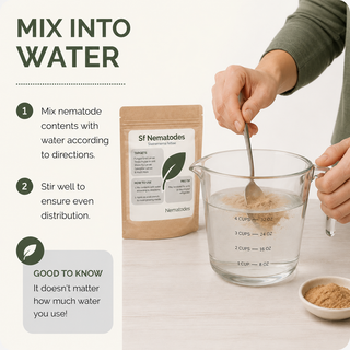 Person mixing nematodes with water in a measuring cup, with a package labeled 'SF Nematodes' in the background.