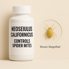 Bottle of spider mite treatment. 