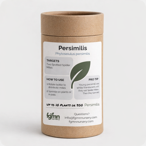 Phytoseiulus persimilis — spider mite specialist treatment bottle