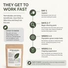 Infographic on nematodes' effectiveness in pest control with a package of SF Nematodes at the bottom.