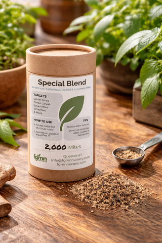 Kraft paper container labeled 'Special Blend' showing the carrieri material with predatory mites on a wooden surface with plants in the background