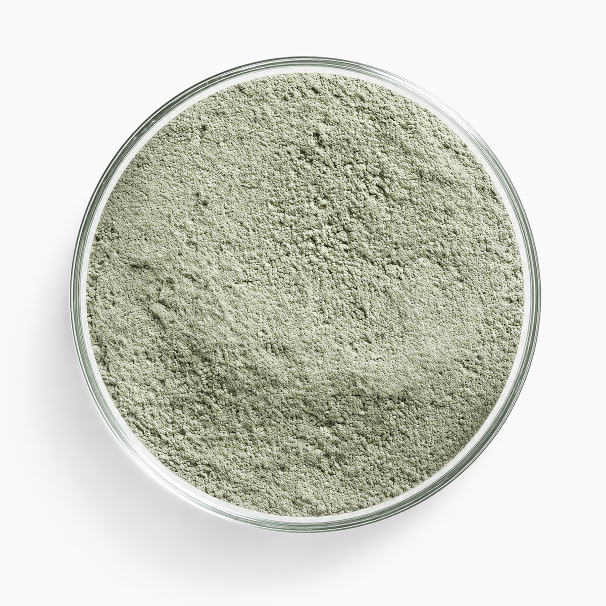 Trichoderma harzianum T-22 | Root Rot Prevention