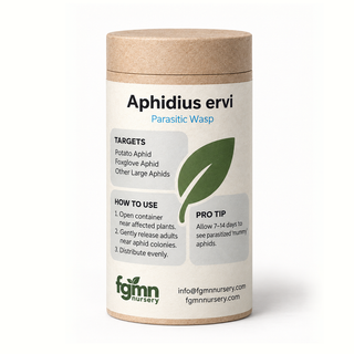 Kraft tube of FGMN Aphidius ervi parasitoid wasps, labelled for potato and foxglove aphids.