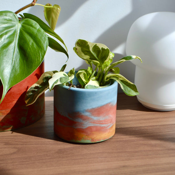Rainbow watercolor planter, blue fading to rust, holding a variegated plant