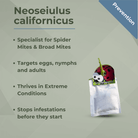 Neoseiulus californicus sachet for spider mites, prevention icon, stops infestations, targets all life stages, thrives in tough conditions.