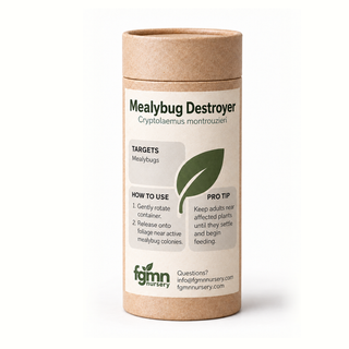 Kraft tube of FGMN Cryptolaemus montrouzieri mealybug destroyers, labelled for mealybugs.