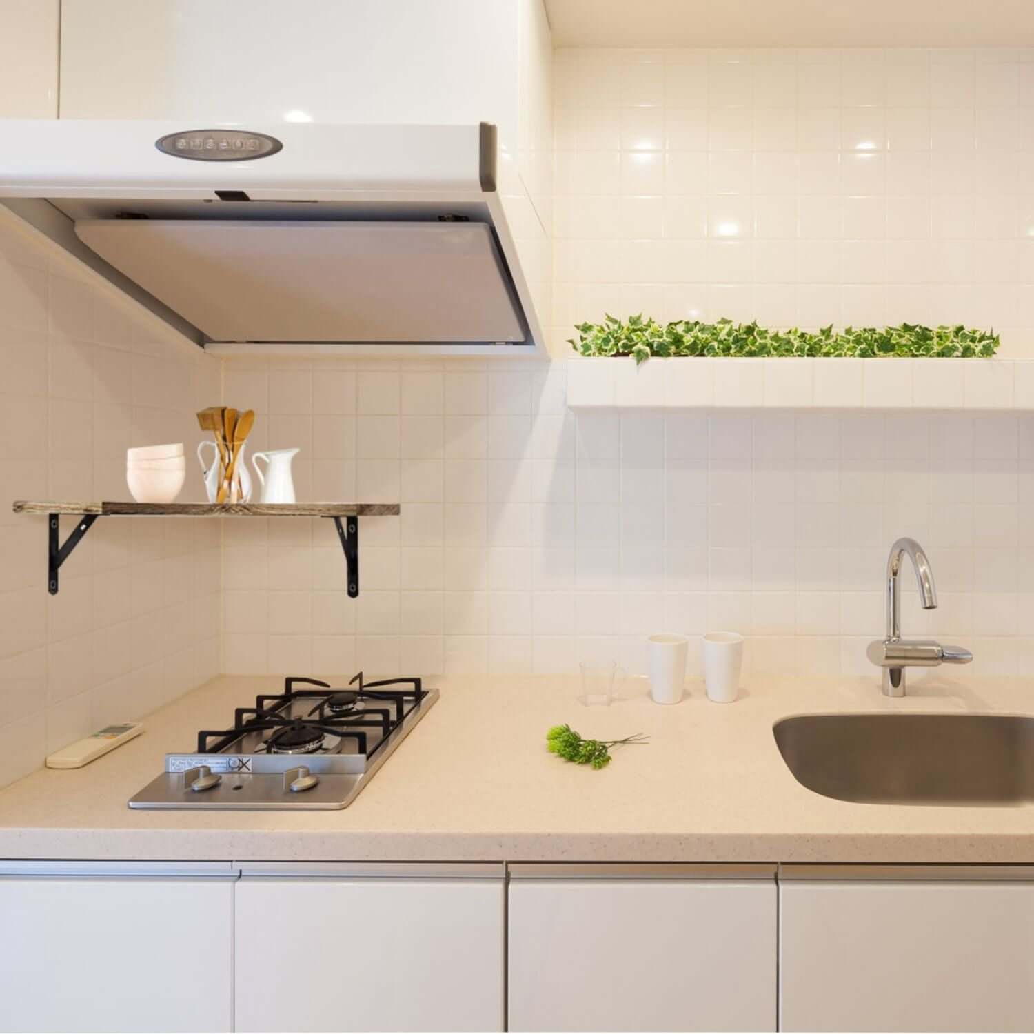 Modern kitchen with clean countertops, wall-mounted utensils, and decorative greenery on an open shelf next to a sleek stove and sink.