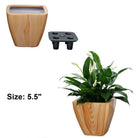 Self-watering light wood finish planter set with lush green plant, showcasing modern square design and 5.5-inch size.