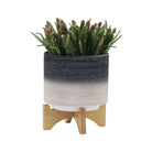 8-inch modern ceramic planter with plant stand showcasing greenery, eco-friendly and stylish for indoor or outdoor use.