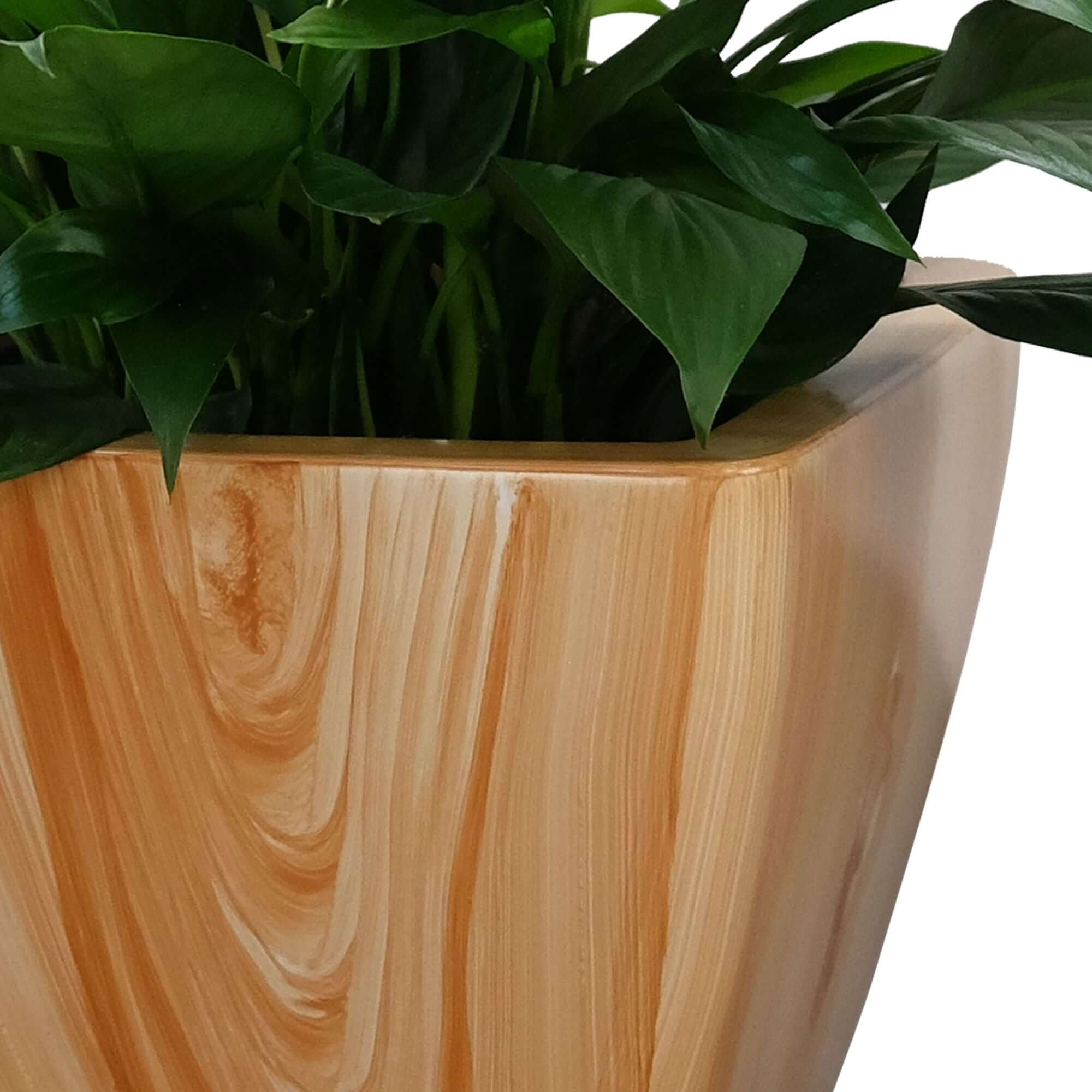 Close-up of a light wood finish self-watering square planter with lush green plant indoors.