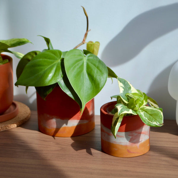 Two rust and orange watercolor planters with a heartleaf philodendron and a pothos