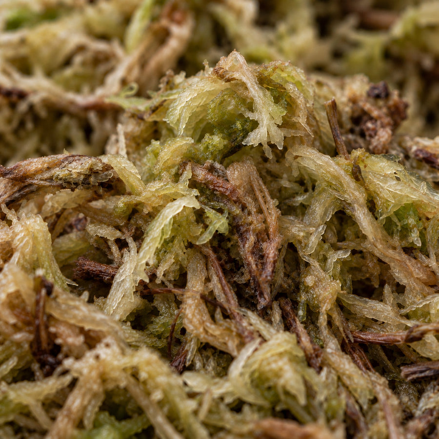Sphagnum carrier used for soil predatory mites.
